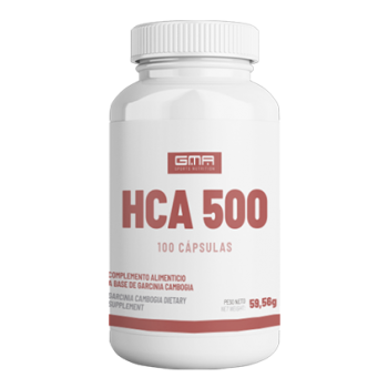 HCA 500